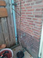 Vijgenboompje . Gratis ophalen, Ophalen, Wasrek