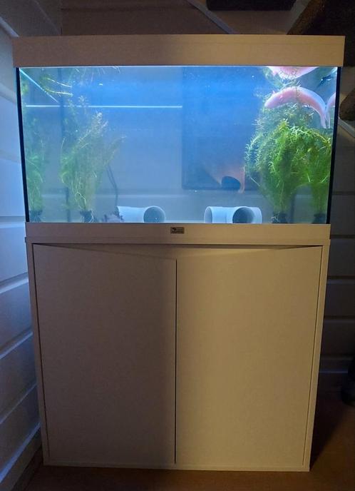 Aqualantis volga 125L met onderstel en filter, Dieren en Toebehoren, Vissen | Aquaria en Toebehoren, Zo goed als nieuw, Leeg aquarium