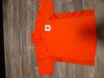 Nederland retro shirt Robben, Sport en Fitness, Voetbal, Ophalen of Verzenden, Zo goed als nieuw, Shirt