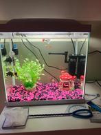 Aquarium vissen, Ophalen, Gebruikt, Verlichting of Verwarming