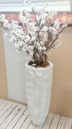 Vaas bloesemboom, Ophalen, Gebruikt