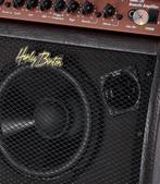 Versterker, Muziek en Instrumenten, Ophalen of Verzenden, Zo goed als nieuw, Gitaar, Minder dan 50 watt