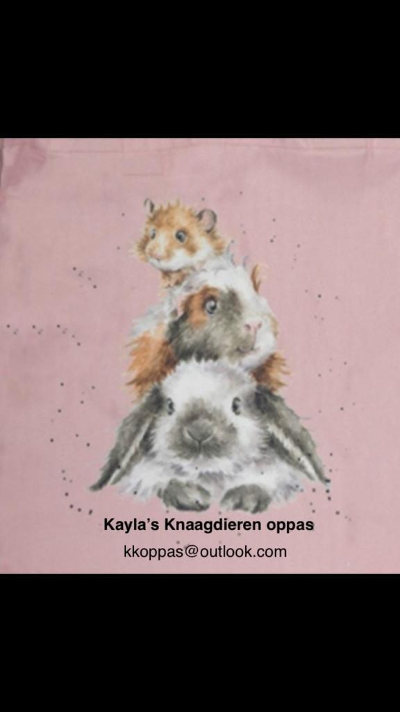 Knaagdieren oppas/vakantie oppas/konijn/cavia/rat/hamster, Boeken, Dieren en Huisdieren, Zo goed als nieuw, Ophalen of Verzenden
