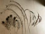Pauwenveer veren diverse vogels boeket knutselen decoratie, Huis en Inrichting, Woonaccessoires | Droogbloemen, Ophalen of Verzenden