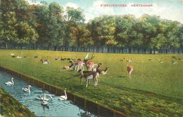 (301-130-037) Den Haag Hertekamp beschikbaar voor biedingen