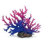 kunst koraal, natuur getrouwe koralen, enorme keus, Verzenden, Nieuw, Gevuld zeewateraquarium