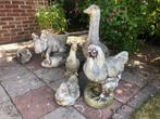 Betonnen tuinbeelden, Tuin en Terras, Tuinbeelden, Ophalen, Gebruikt, Beton, Dierenbeeld