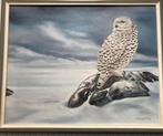 Uil in Sneeuw - Cor Kaspers Schilderij, Ophalen of Verzenden