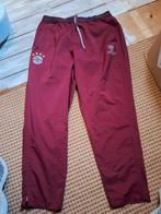 Bayern München Champions League Joggingsbroek Adidas Maat XL, Kleding | Heren, Sportkleding, Ophalen of Verzenden, Gedragen, Maat 56/58 (XL)