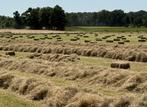 Hooipakjes 21 juni geperst, Dieren en Toebehoren, Dierenvoeding, Ophalen, Vee