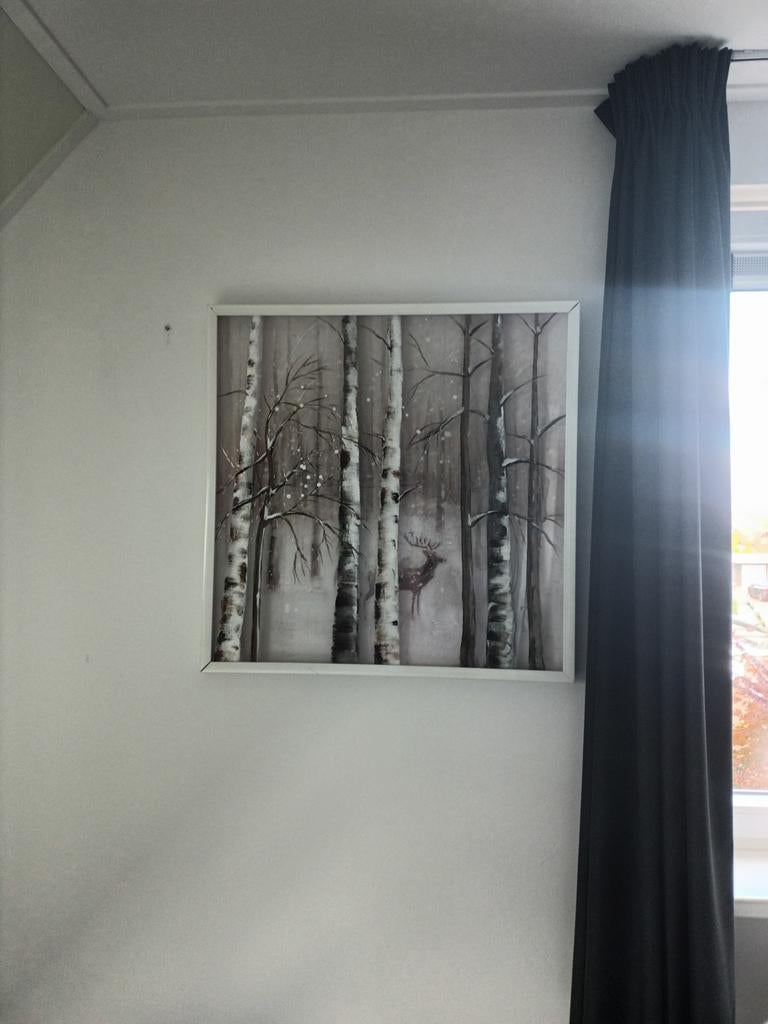 Te koop mooie schilderijen in Steenwijk, Huis en Inrichting, Ophalen, Zo goed als nieuw, Minder dan 100 cm