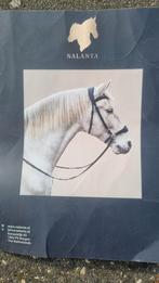 Nalanta bitloos hoofdstel maat Full, Dieren en Toebehoren, Paarden en Pony's | Hoofdstellen en Tuigage, Ophalen, Zo goed als nieuw