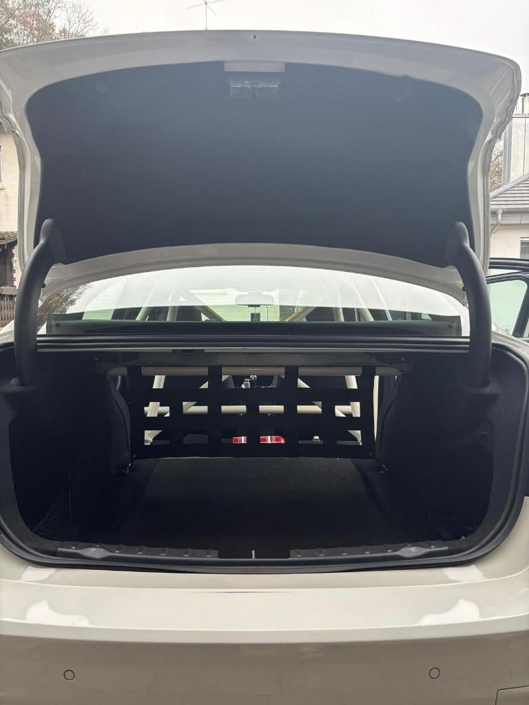 BMW 3er F30/ F80 Clubsport Netz (Set), Ophalen of Verzenden, Nieuw, BMW