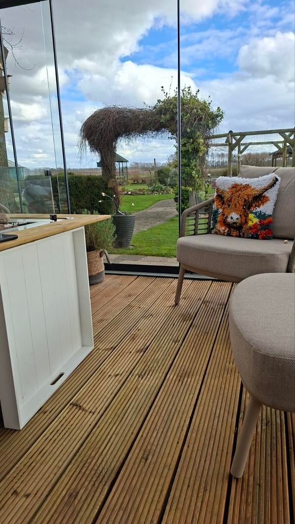 Gezocht kwarteleitjes, Dieren en Toebehoren, Vrouwelijk