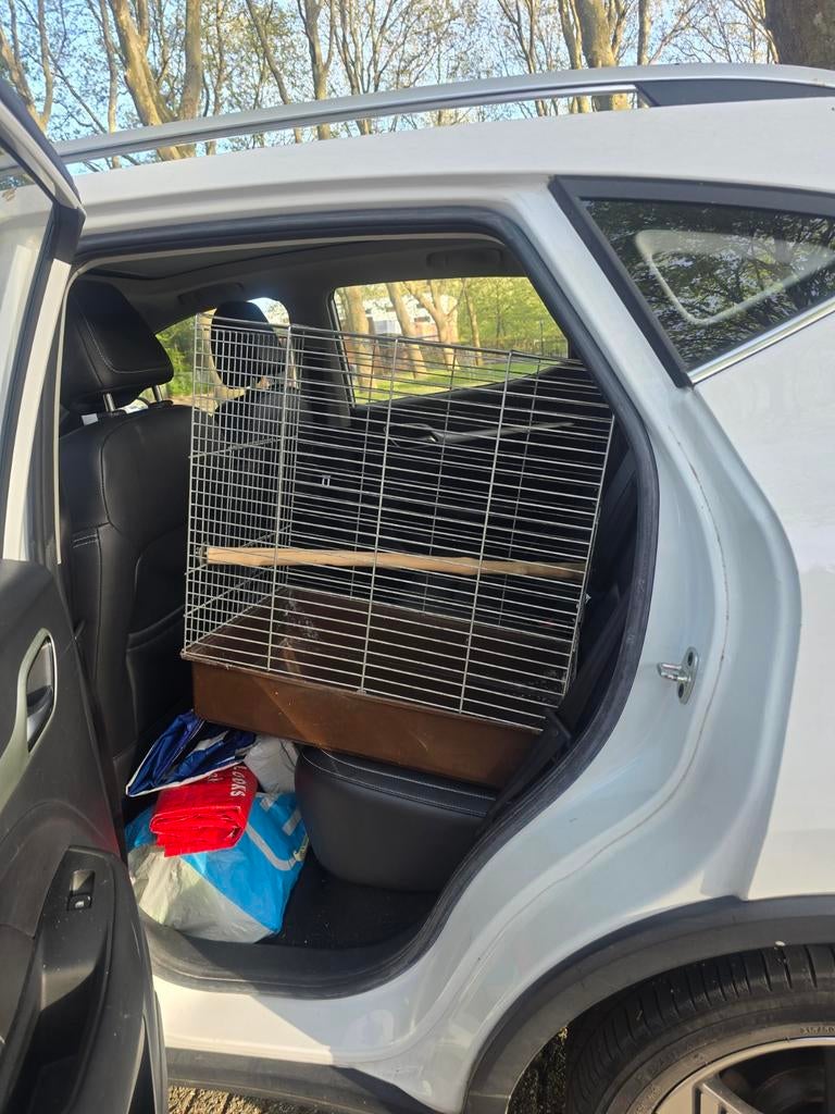 Kooi (Gereserveerd), Dieren en Toebehoren, Vogels | Hokken en Kooien, Ophalen of Verzenden, Metaal, Vogelkooi