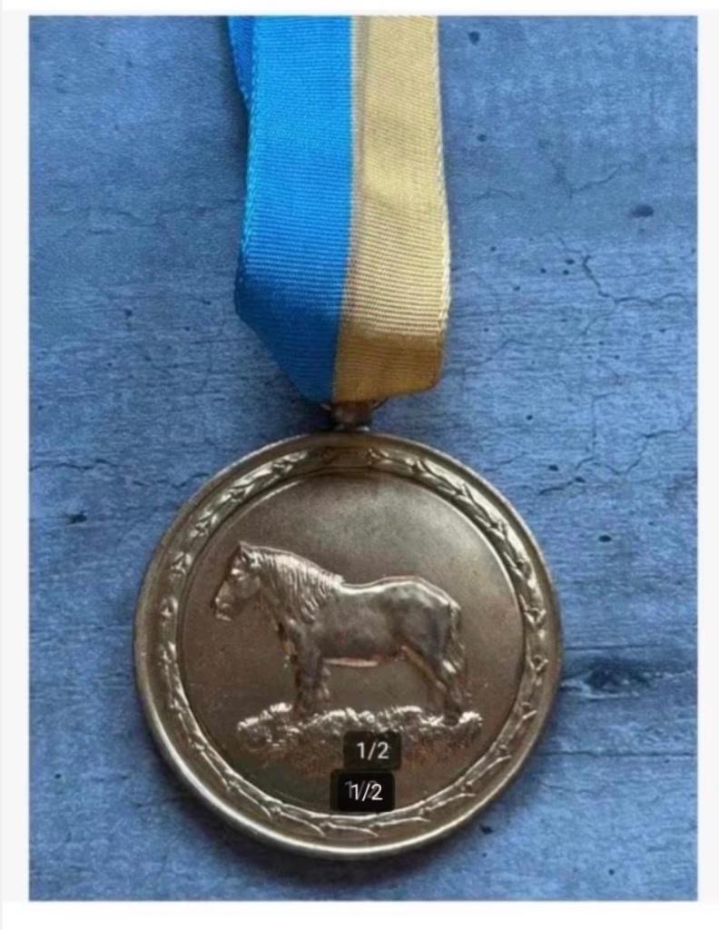 Medaille 1973 Paarden aan lint geel blauw, Postzegels en Munten, Penningen en Medailles, Ophalen of Verzenden, Overige materialen