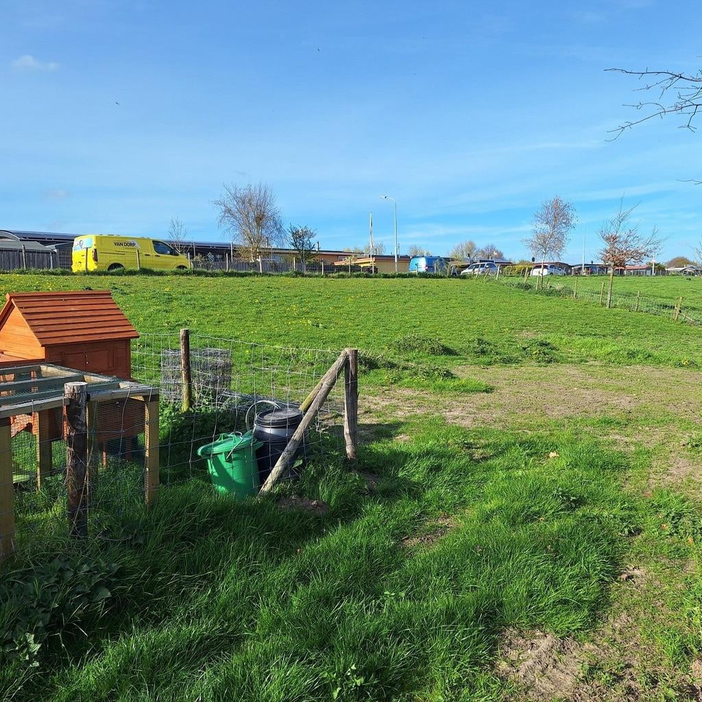 Weide weiland, Dieren en Toebehoren, Stalling en Weidegang