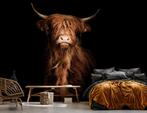 Fotobehang / Behang - Dieren - Schotse Hooglander, Verzenden, Bruin, Minder dan 10 m², Info@fotobehangkoning.nl
