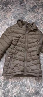 Super Dry Winterjas, Kleding | Dames, Ophalen of Verzenden, Nieuw, Maat 38/40 (M), Groen