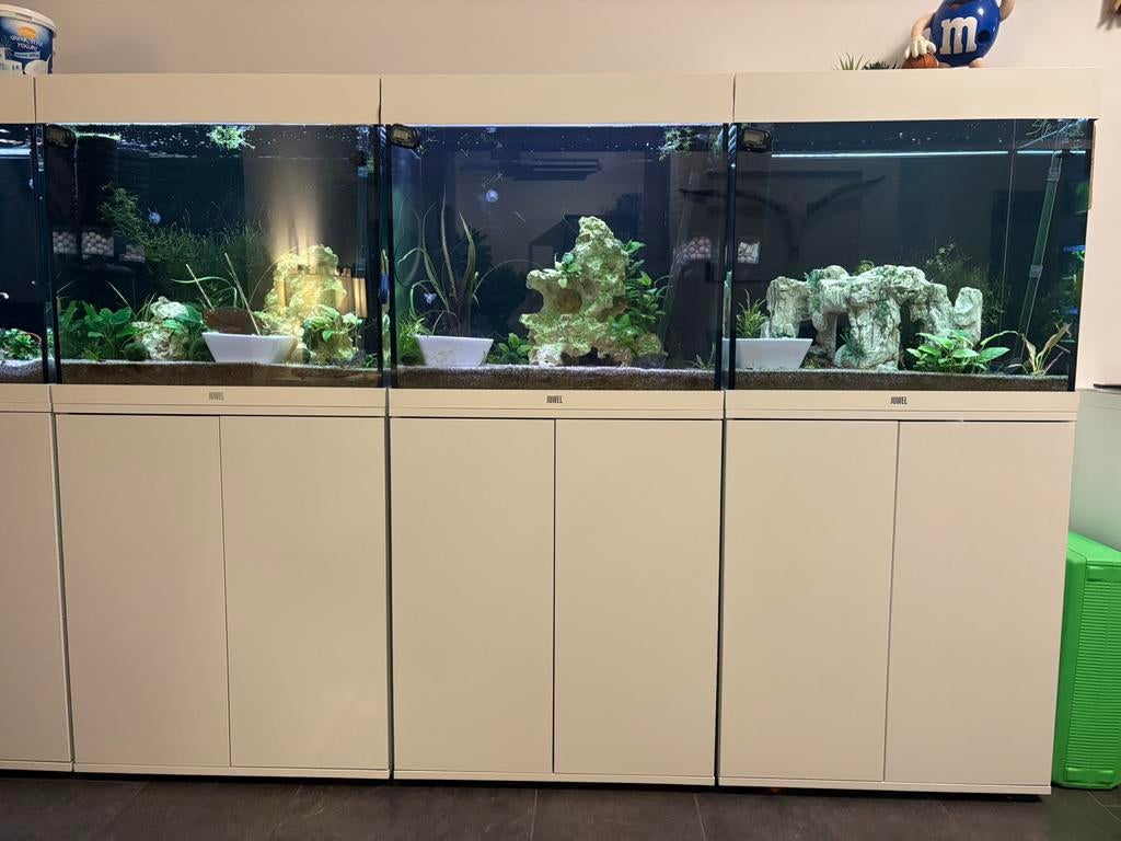 Juwel lido 120L (3 te koop), Ophalen of Verzenden, Zo goed als nieuw, Leeg aquarium