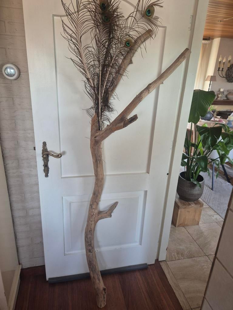Decoratieve boomstam met pauwenveren - 177 cm, Ophalen of Verzenden