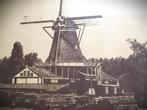 Molen Zaagmolen Herder Leiden~Grote Foto Prent achter Glas, Gebruikt, Foto, Ophalen of Verzenden, 1940 tot 1960