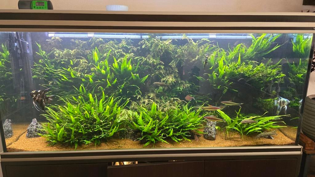 Aqarium, zitten krassen op het glas, Dieren en Toebehoren, Vissen | Aquaria en Toebehoren, Ophalen, Gebruikt, Aquatlantis, Gevuld zoetwateraquarium