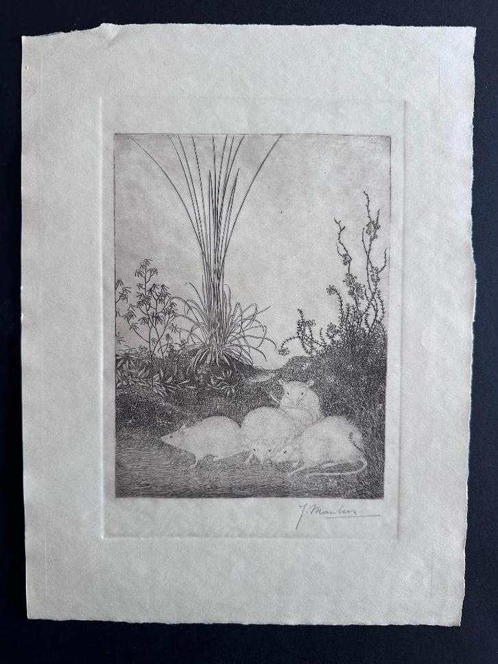 Jan Mankes ets vier muizen, Antiek en Kunst, Kunst | Etsen en Gravures, Ophalen of Verzenden