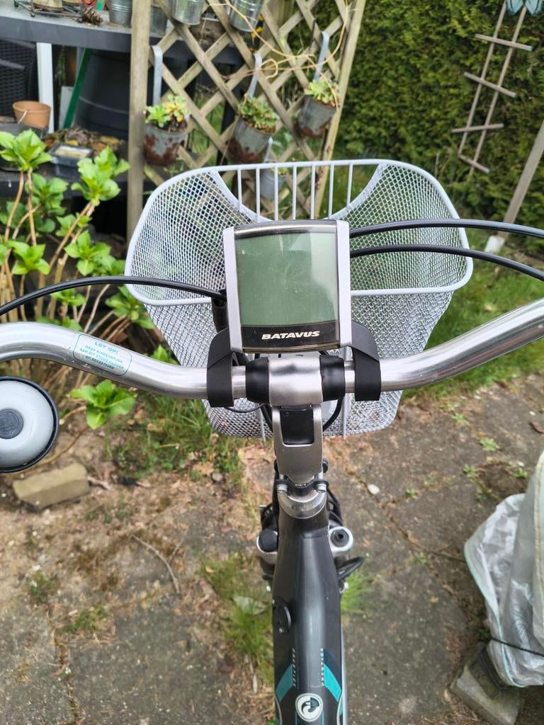 Display Sparta, Koga en Batavus, Ophalen of Verzenden, Gebruikt