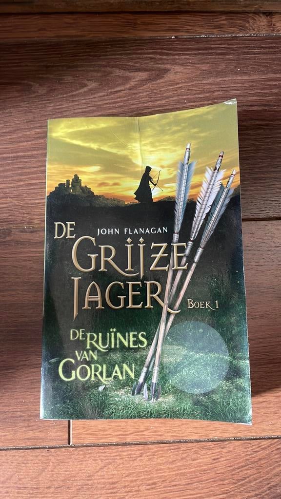De grijze jager boek 1, Boeken, Ophalen of Verzenden, Gelezen