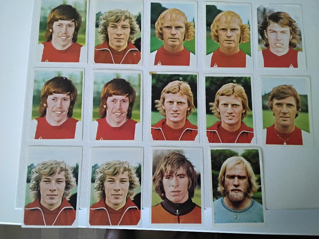 14 stuks vd Hout plaatjes van Ajax seizoen 75 - 76, Verzamelen, Ophalen of Verzenden, Gebruikt, Ajax, Poster, Plaatje of Sticker