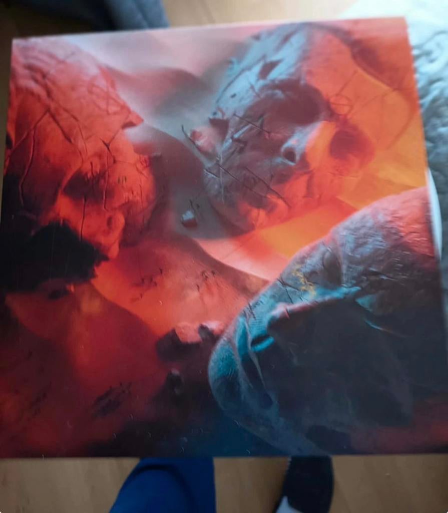 Muse vinyl, Ophalen of Verzenden, Zo goed als nieuw