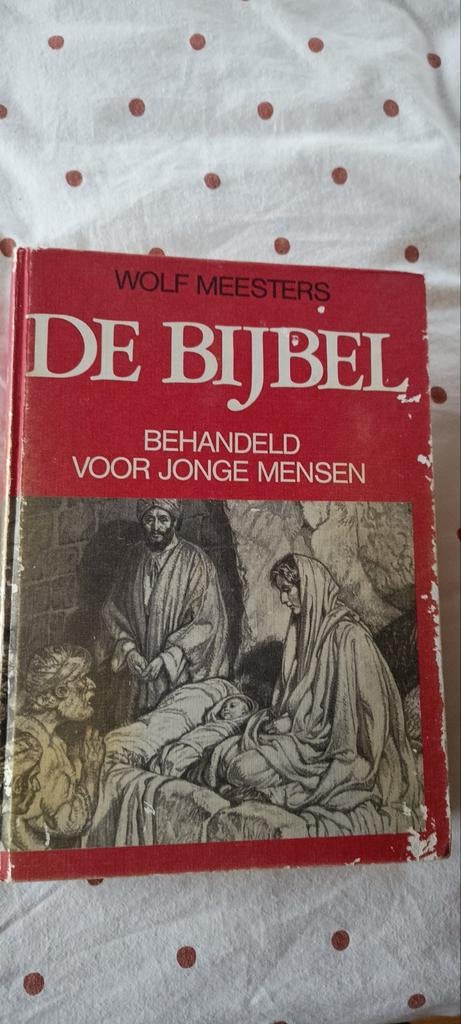 De Bijbel behandeld voor jonge mensen, Ophalen of Verzenden, Gelezen, Wolf Meesters, Christendom | Katholiek
