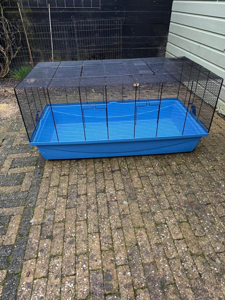 Hamsterkooi benodigdheden, Ophalen, Gebruikt, Loopwiel of Rad