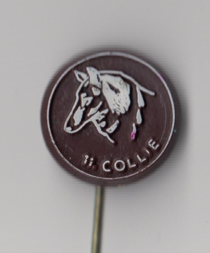 Hond Collie speldje, Gebruikt, Niet vindbaar, Niet vindbaar, Speldje of Pin