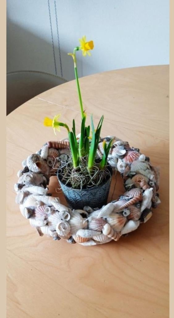 decoratieve schelpenkrans, Ophalen of Verzenden, Gebruikt