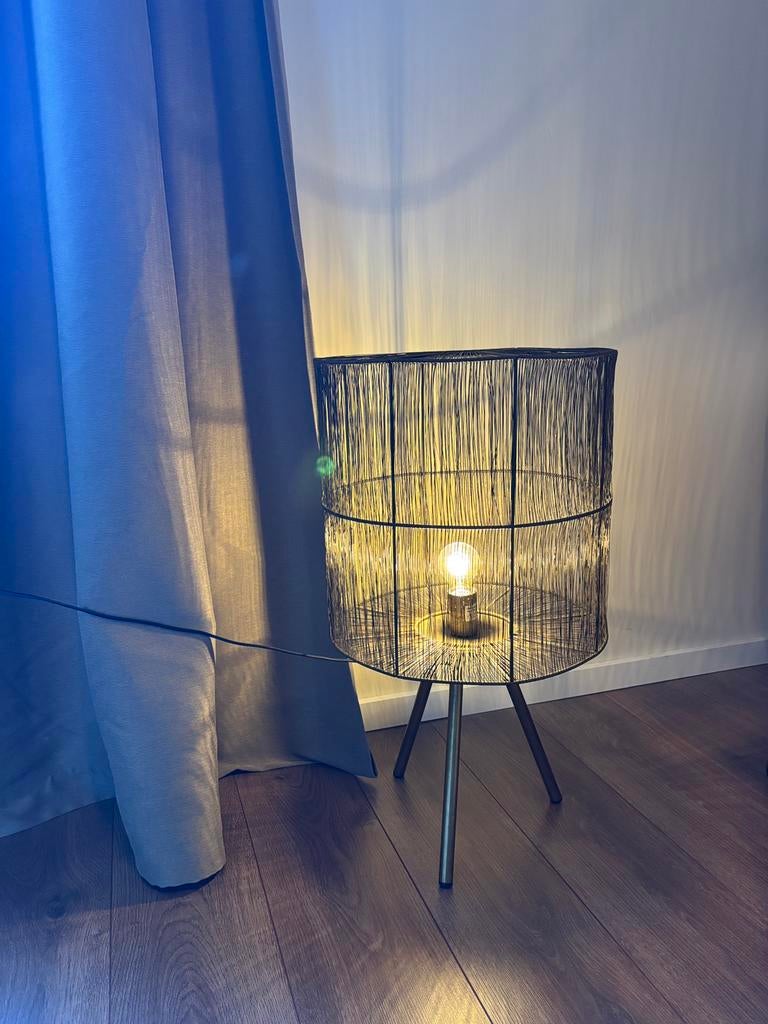 Lamp light en living, Ophalen, Nieuw, Minder dan 100 cm