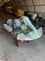 Tony Kart 2017 125cc Kart - Klaar voor de Race, Ophalen, Gebruikt, Kart