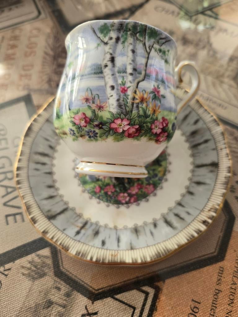 Royal Albert Kopje voor dames, Ophalen of Verzenden