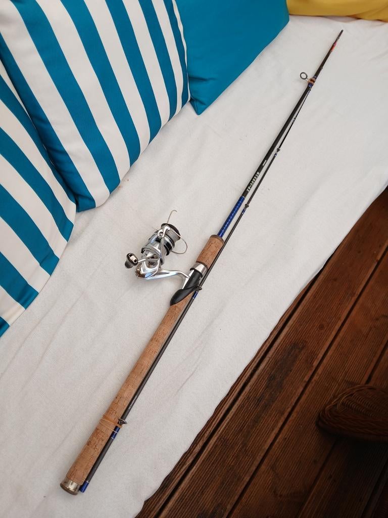 Winkle Picker Shimano Nexave AX 240 met Shimano Nasci molen, Ophalen of Verzenden, Gebruikt, Werphengel