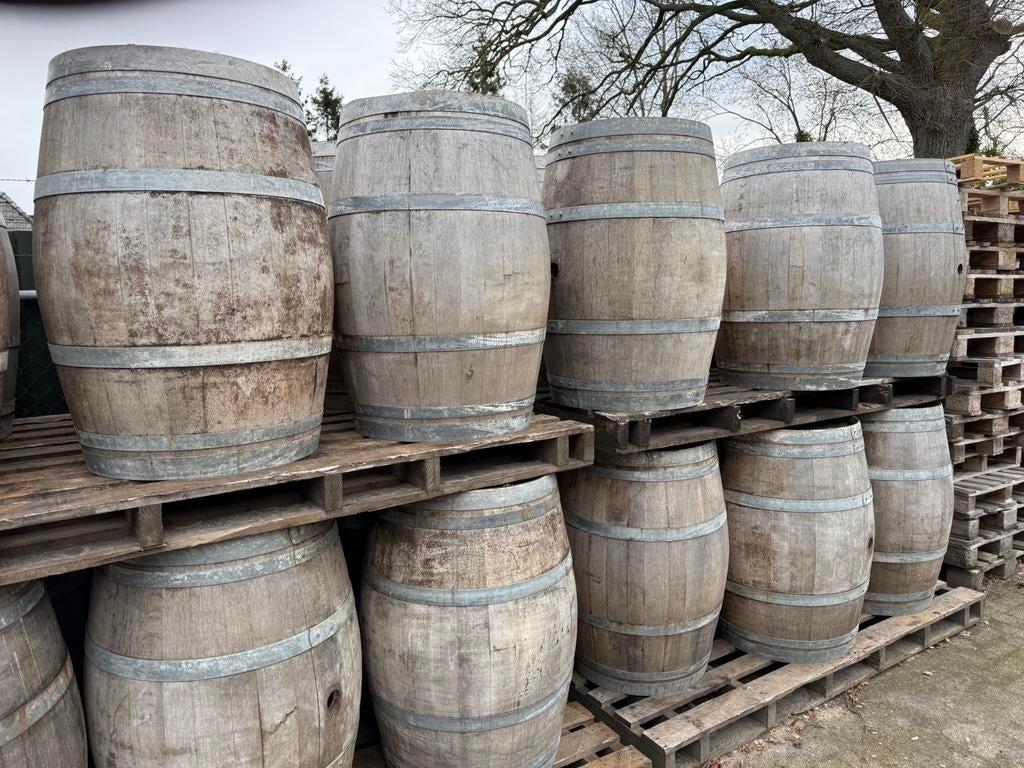 Dé echte groothandel in regentonnen/wijnvaten.€49,00., 150 liter of meer, Ophalen, Gebruikt, Hout
