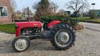 Ferguson TEF 20 oldtimer tractor met kenteken, Ophalen, Tot 2500, Oldtimer, Tot 80 Pk