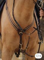 Kentaur borsttuig / martingaal bruin maat 2 cop, Dieren en Toebehoren, Ophalen of Verzenden, Zo goed als nieuw