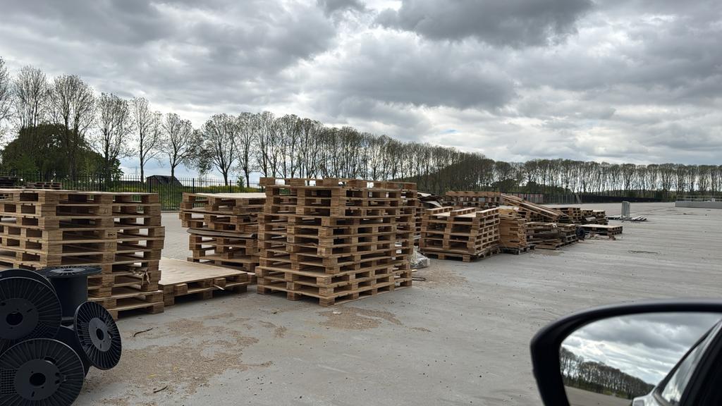 Gratis af te halen partij pallets  in MOERDIJK, Ophalen of Verzenden, 50 mm of meer, Pallet, Minder dan 200 cm