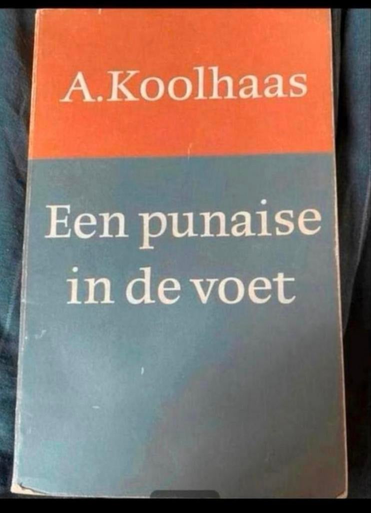 Een punaise in de voet- a koolhaas, Boeken, Ophalen of Verzenden, Gelezen, Overige uitgevers, Nederlands