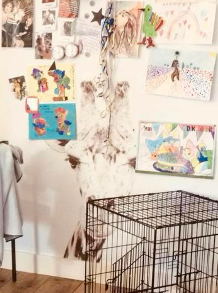 Groovy magnets Magnetisch behang giraffe, Ophalen, Gebruikt, Wanddecoratie