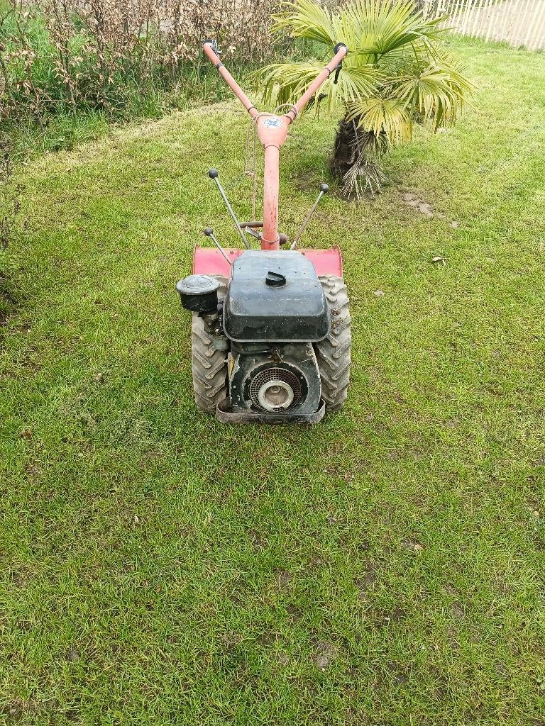 Tuin frees, Ophalen, Gebruikt, Overige soorten