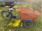 Babboe Flow Mountain elektrische bakfiets met grote batterij, Elektrisch, Zo goed als nieuw, 2 kinderen, Ophalen