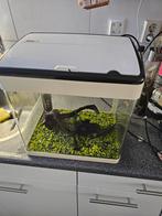 SuperFish aquarium Panorama wit 35 L, Dieren en Toebehoren, Ophalen, Leeg aquarium