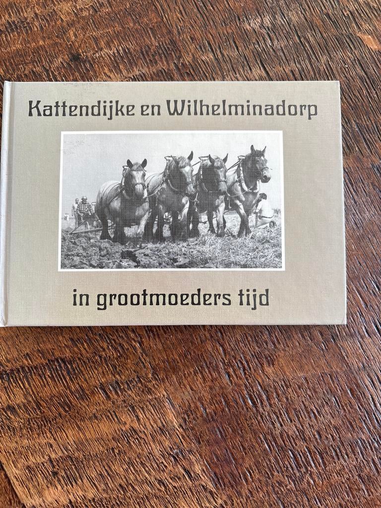 Kattendijke en Wilhelminadorp in grootmoeders tijd, Ophalen of Verzenden, 20e eeuw of later, Zo goed als nieuw